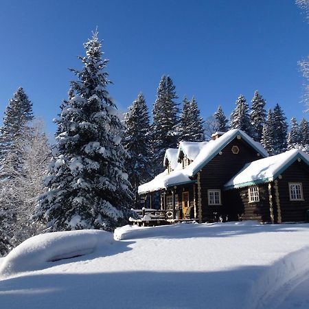Domaine Le Bostonnais - Le Village En Bois Rond La Tuque Luaran gambar