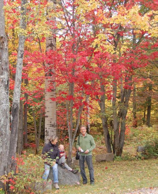 Domaine Le Bostonnais - Le Village En Bois Rond La Tuque Luaran gambar
