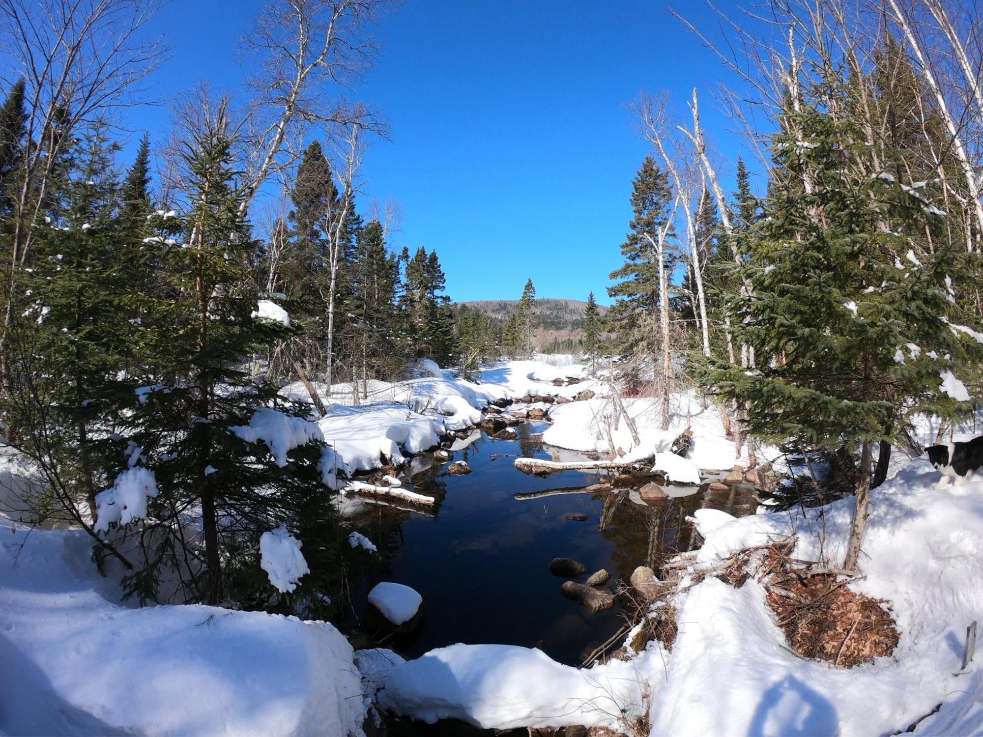 Domaine Le Bostonnais - Le Village En Bois Rond La Tuque Luaran gambar