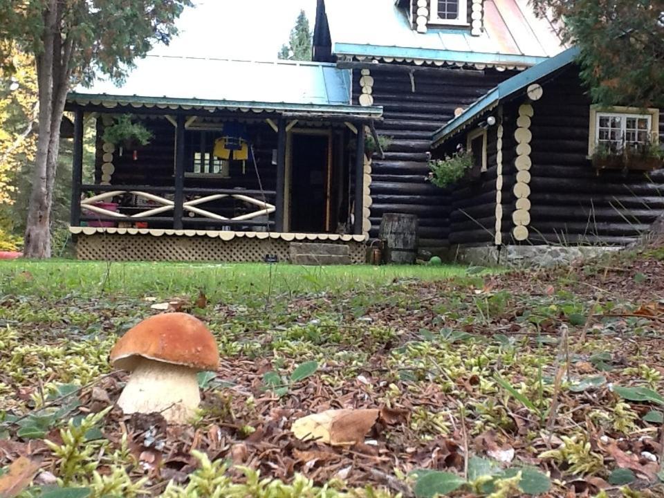 Domaine Le Bostonnais - Le Village En Bois Rond La Tuque Luaran gambar