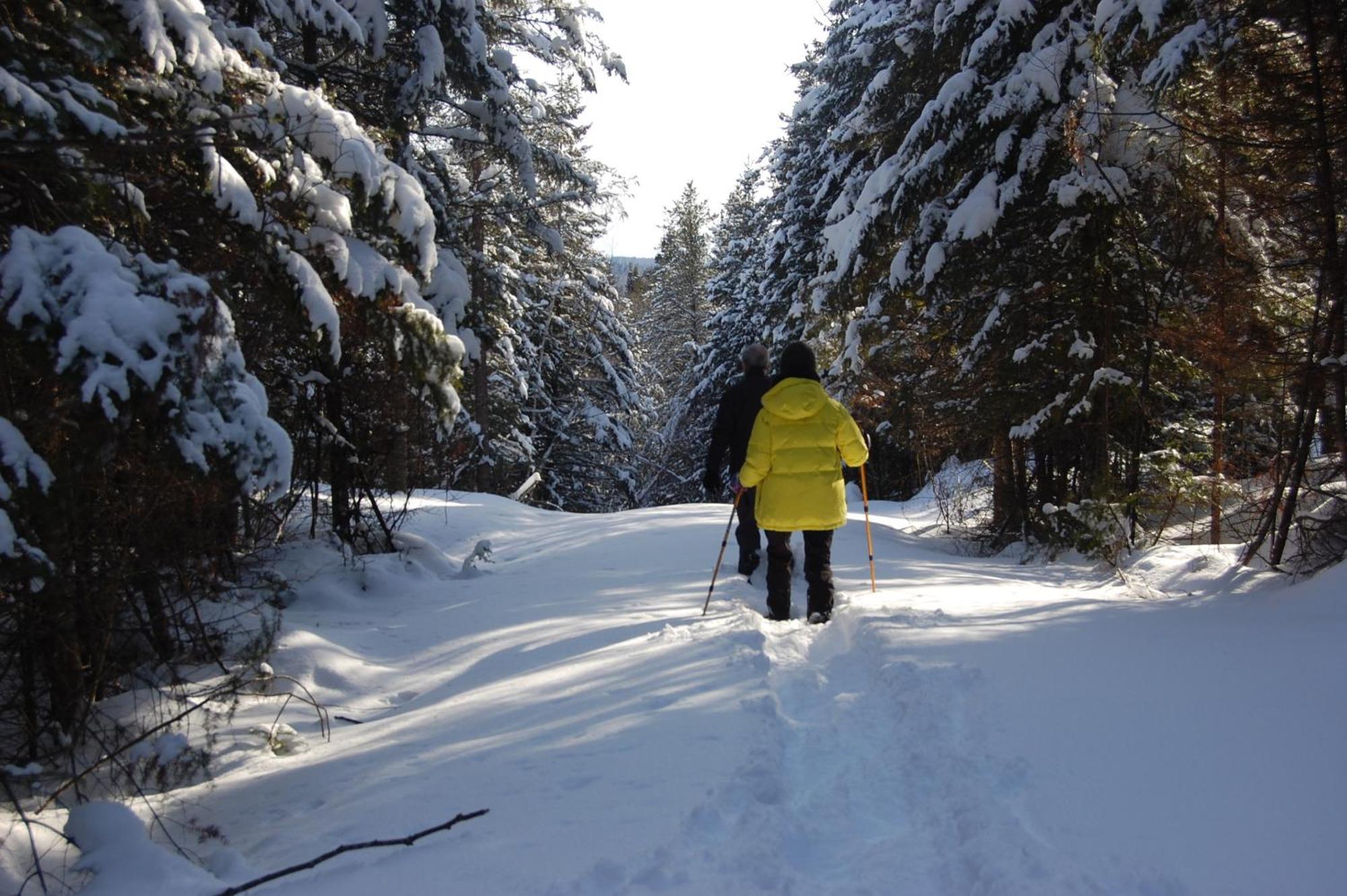 Domaine Le Bostonnais - Le Village En Bois Rond La Tuque Luaran gambar